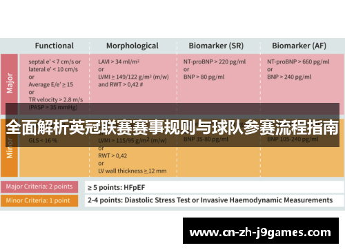 全面解析英冠联赛赛事规则与球队参赛流程指南