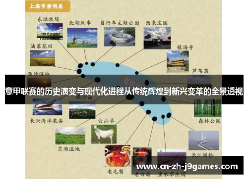 意甲联赛的历史演变与现代化进程从传统辉煌到新兴变革的全景透视